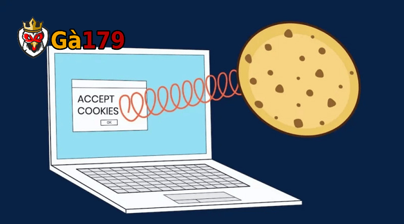 Chính sách cookies giúp bảo vệ thông tin thành viên